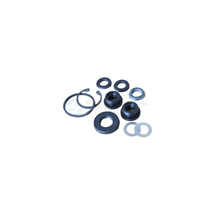 Zestaw naprawczy pompy hamulcowej Professional Parts 52343982