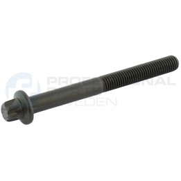 Śruba głowicy cylindrów Professional Parts 21348343