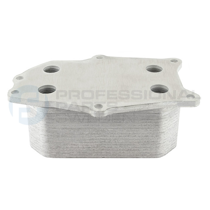 Chłodnica oleju silnika Professional Parts 22342837