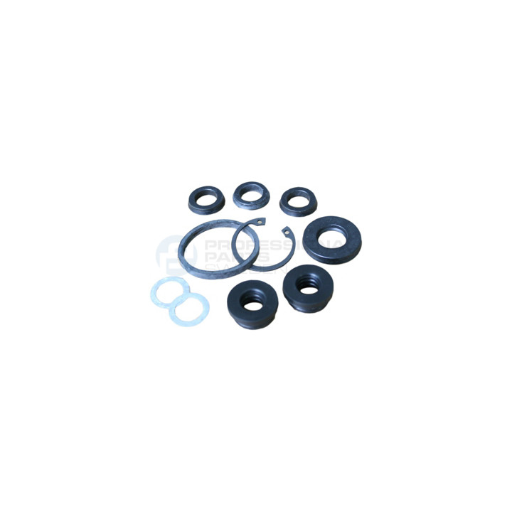 Zestaw naprawczy pompy hamulcowej Professional Parts 52344778