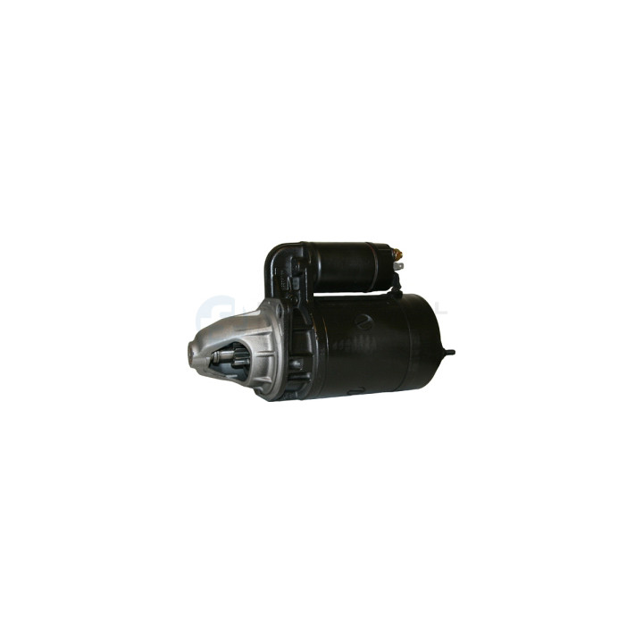 Rozrusznik Professional Parts 28341255