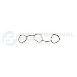Uszczelka kolektora ssącego dolotowego Professional Parts 21340050