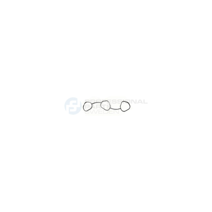 Uszczelka kolektora ssącego dolotowego Professional Parts 21340050