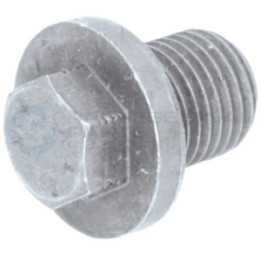 Korek śruba spustu miski oleju Professional Parts 21343669