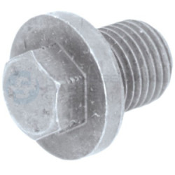 Korek śruba spustu miski oleju Professional Parts 21343669