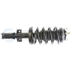 Zestaw zawieszenia sprężyna i amortyzator Professional Parts 72347811C