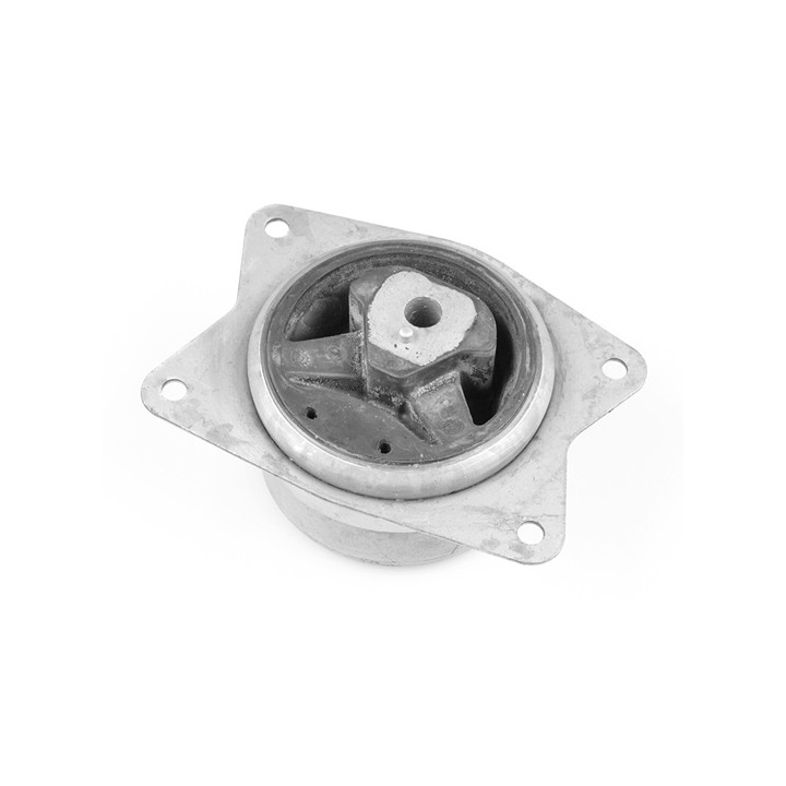 Poduszka silnika TEDGUM TED95962