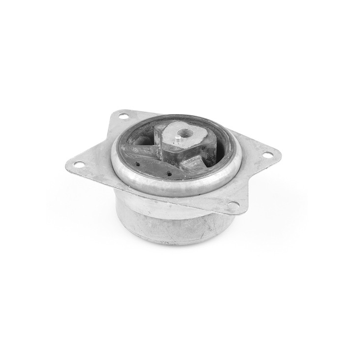 Poduszka silnika TEDGUM TED95962