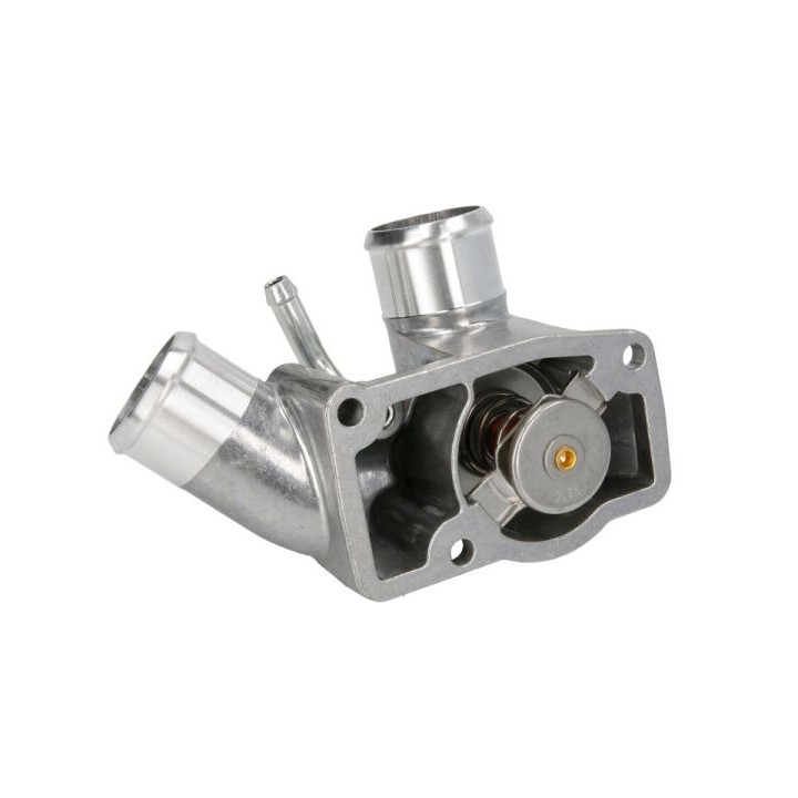 Termostat THERMOTEC D2X025TT