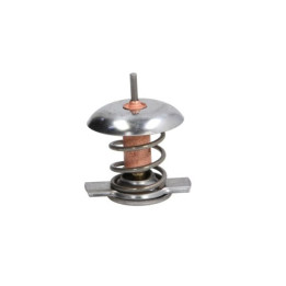 Termostat THERMOTEC D2X005TT