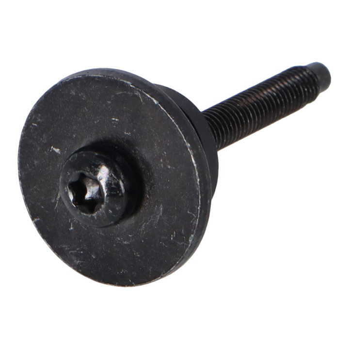 Screw Volvo (31250212)