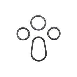 Zestaw uszczelek chłodnicy oleju Professional Parts 21344385