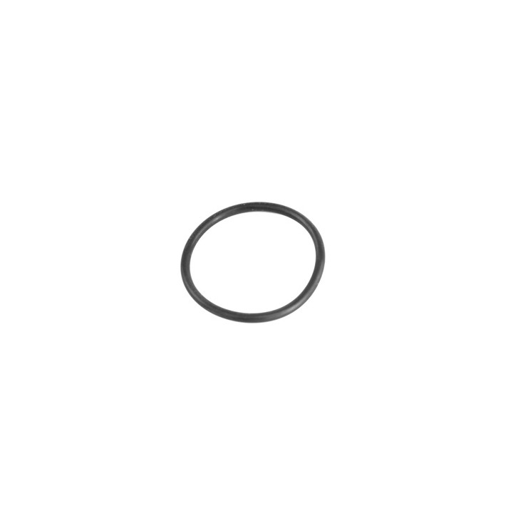 O-ring Professional Parts 21341750