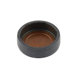Zaślepka rozdzielacza zapłonu Professional Parts 21345211