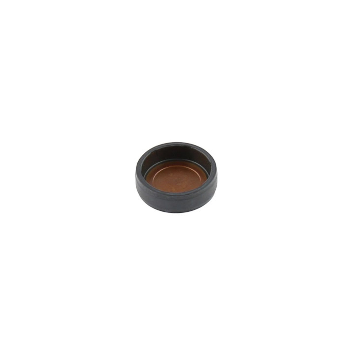 Zaślepka rozdzielacza zapłonu Professional Parts 21345211