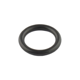 O-ring Professional Parts 21345377