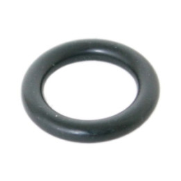 O-ring Professional Parts 21346598