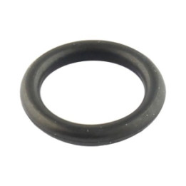 O-ring Professional Parts 21348009