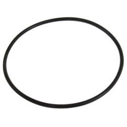 O-ring mechanizmu różnicowego Professional Parts 21348156