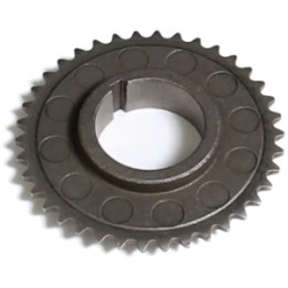 Koło zębate wałka rozrządu Professional Parts 21348264