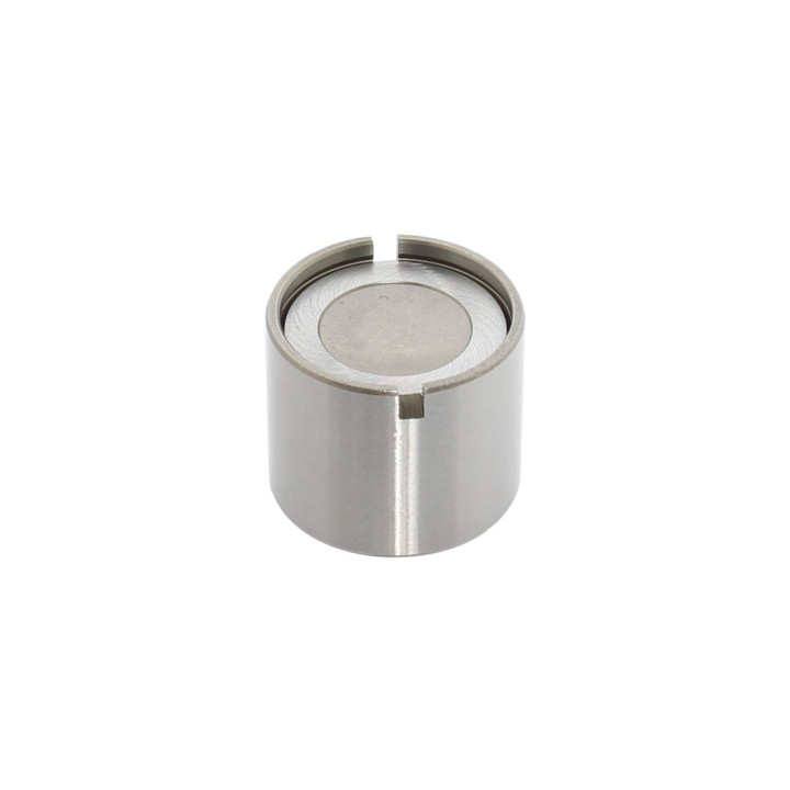 Popychacz zaworu Professional Parts 21348546