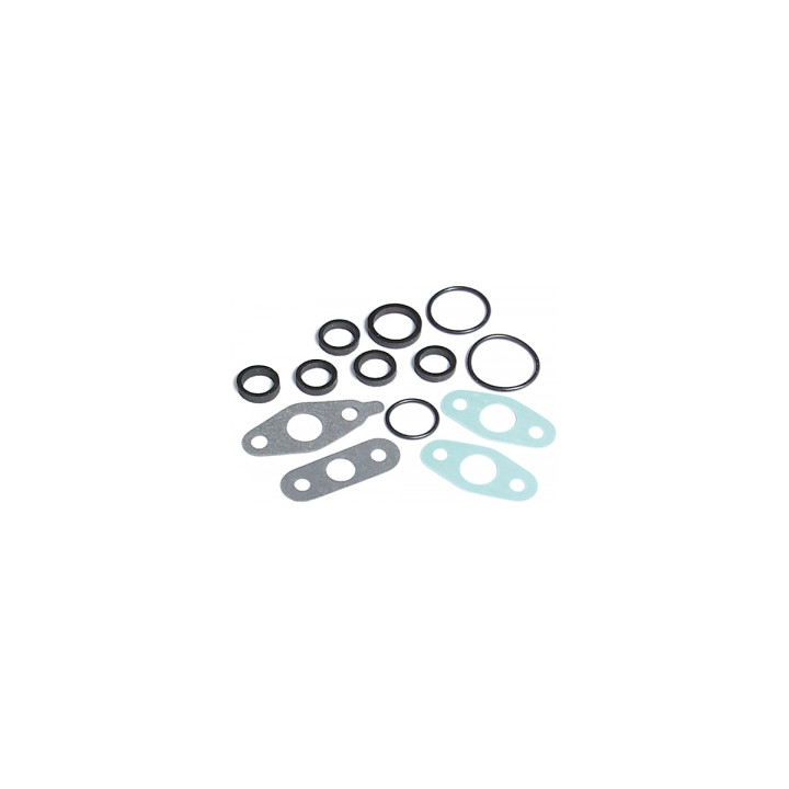 Zestaw O-ringów miski olejowej Professional Parts 21430783