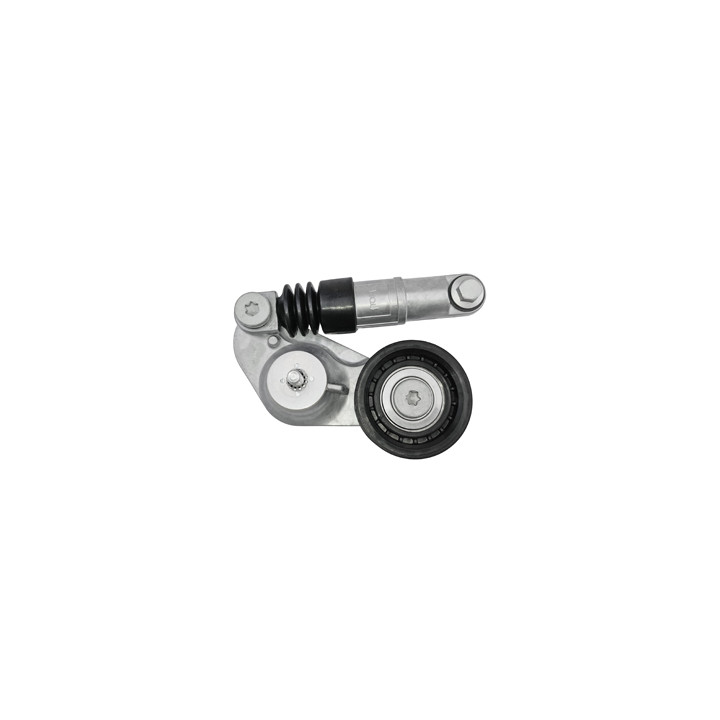 Napinacz paska wielorowkowego Professional Parts 21431743