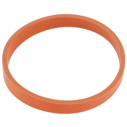 Uszczelka kolektora dolotowego Professional Parts 21431885