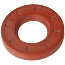 Uszczelniacz olejowy Professional Parts 21432090
