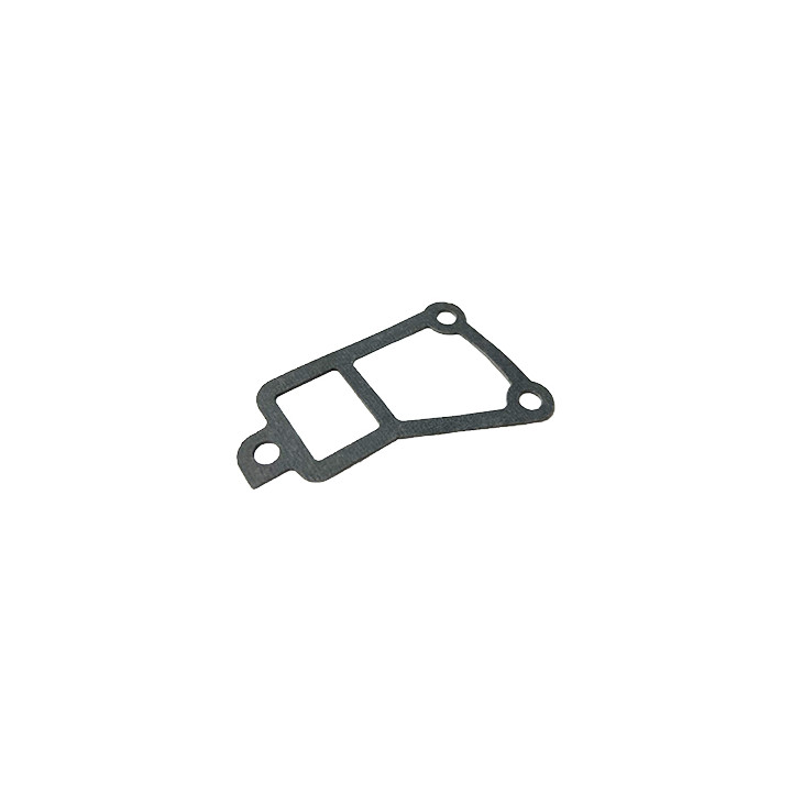 Uszczelka obudowy termostatu Professional Parts 21433284