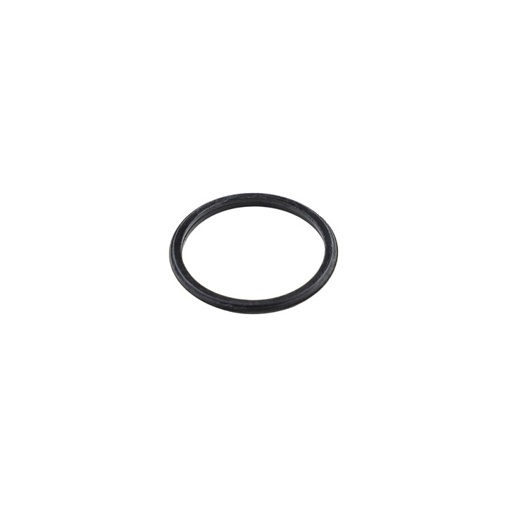 Pierścień uszczelniający przewodu ciśnienia oleju Professional Parts 214342560