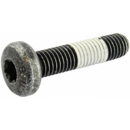 Śruba rolki napinacza Professional Parts 21434274