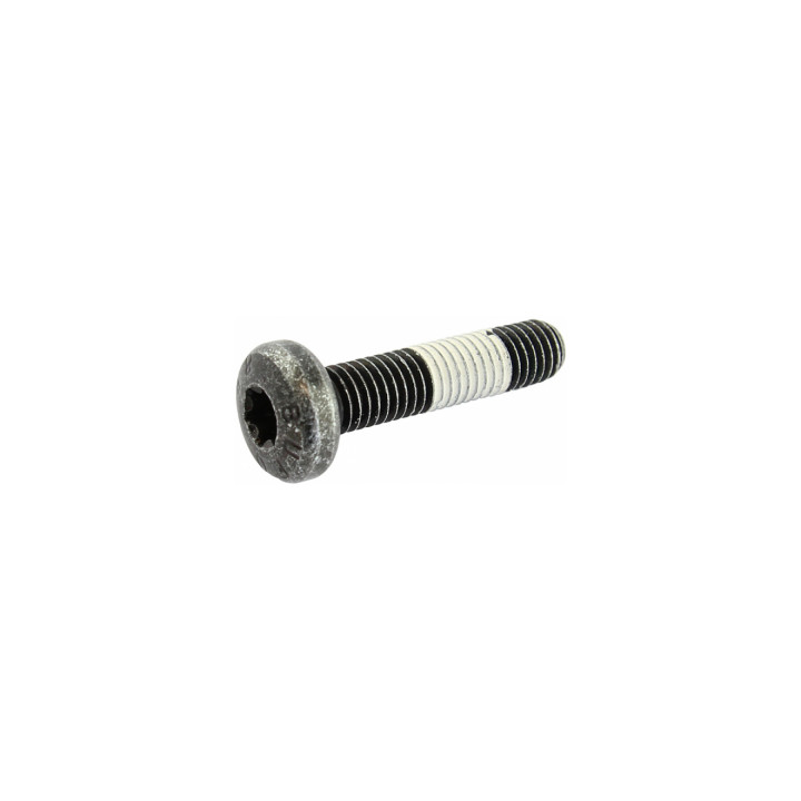 Śruba rolki napinacza Professional Parts 21434274