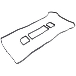 Uszczelka pokrywy zaworów Professional Parts 21434684