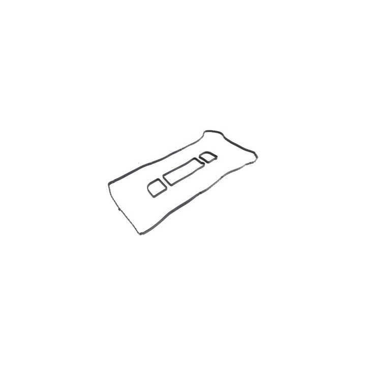Uszczelka pokrywy zaworów Professional Parts 21434684
