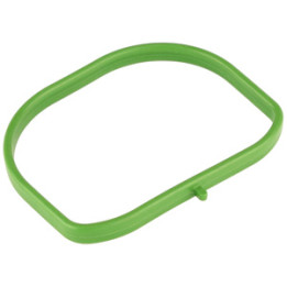 Uszczelka kolektora dolotowego Professional Parts 21434776