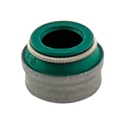 Uszczelniacz trzonka zaworu Professional Parts 21436040