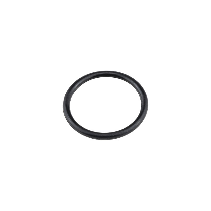 Uszczelka wlewu oleju Professional Parts 21437159