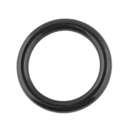 O-ring korka wlewu oleju Professional Parts 21437740