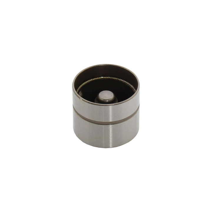 Popychacz zaworu Professional Parts 21437830