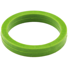 Pierścień uszczelniający Professional Parts 21437867
