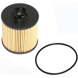Filtr oleju Professional Parts 22029301