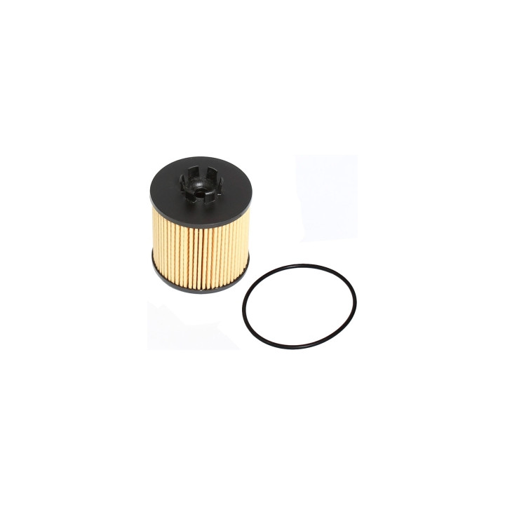Filtr oleju Professional Parts 22029301
