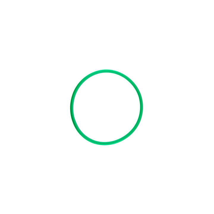 O-ring pompy paliwa Professional Parts 23433708