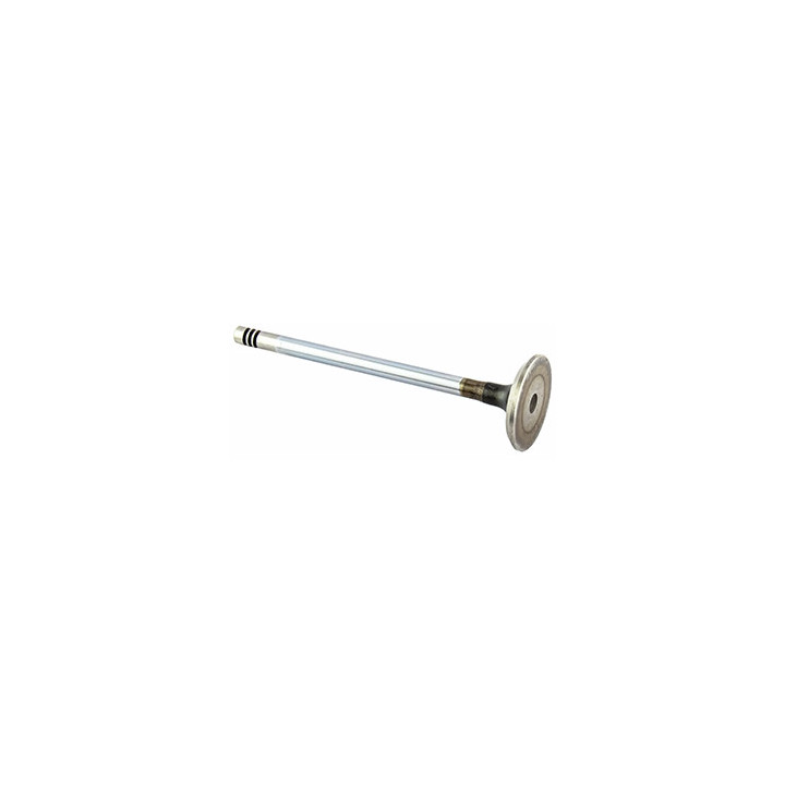 Zawór ssący silnika Professional Parts 23433745