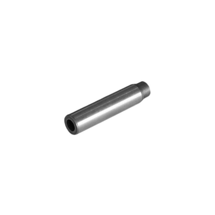 Prowadnica zaworu Professional Parts 23438960
