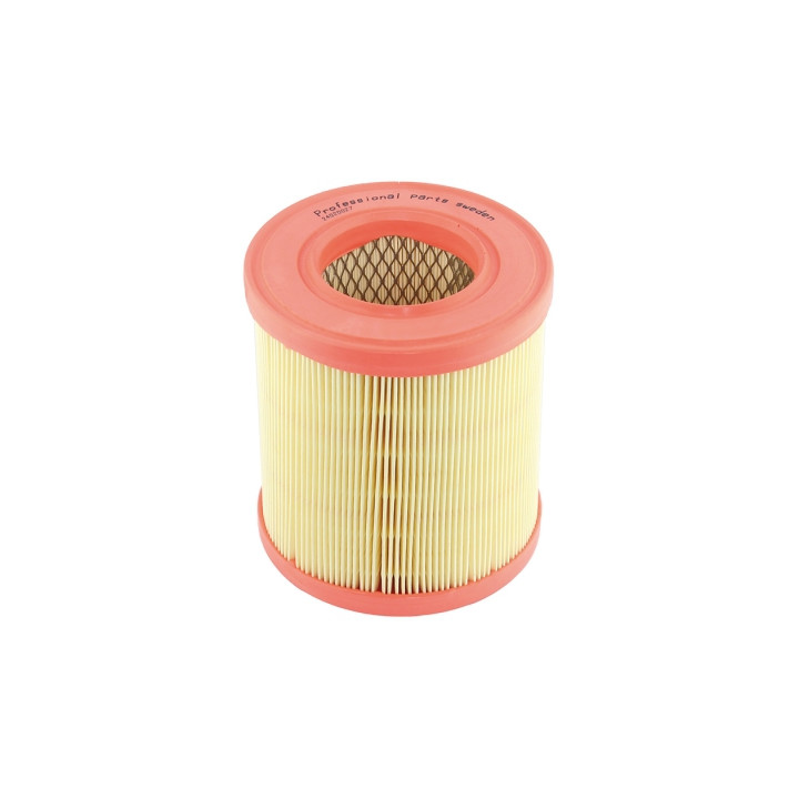Filtr powietrza Professional Parts 24020027