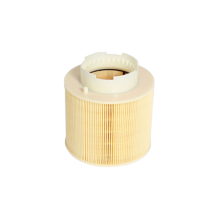 Filtr powietrza Professional Parts 24020198