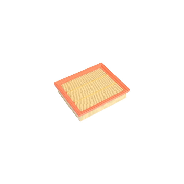 Filtr powietrza Professional Parts 24023023