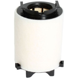 Filtr powietrza Professional Parts 24023576